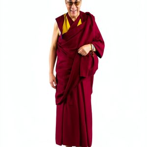 Dalai Lama Biography Kindle Edition by Mariner Books – 446 Page eBook-0
