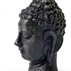 Buddhist History Biography Kindle eBook by Pariyatti – 402 Page Text-0