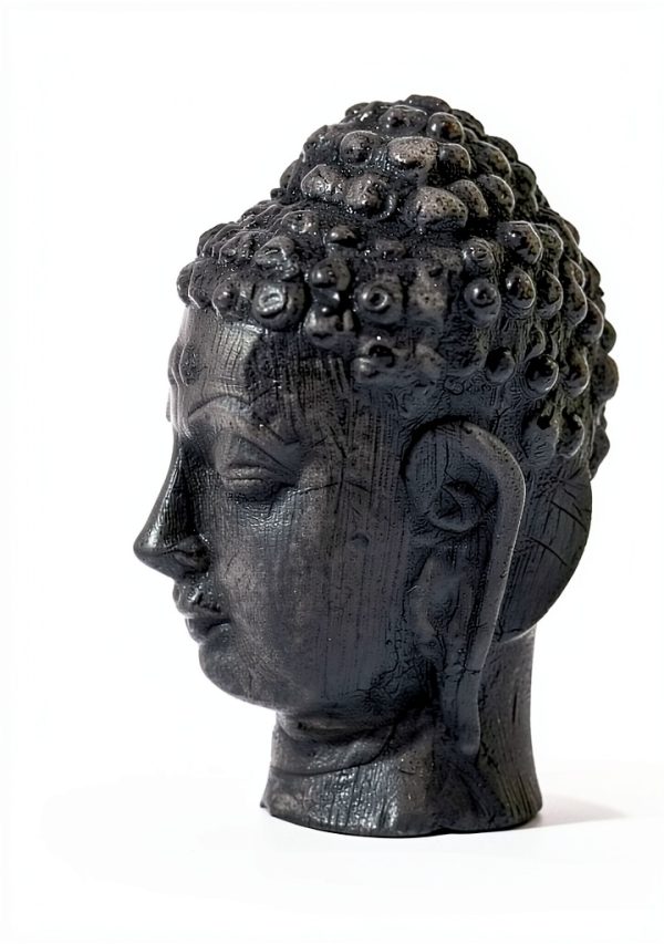 Buddhist History Biography Kindle eBook by Pariyatti – 402 Page Text-0