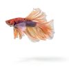 Aquarium Ammonia Test Strips 11-in-1 AKSBTEC 150 Strip Saltwater Kit-5